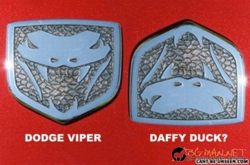 Топ фотосите за днес