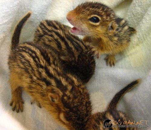 Топ фотосите за днес