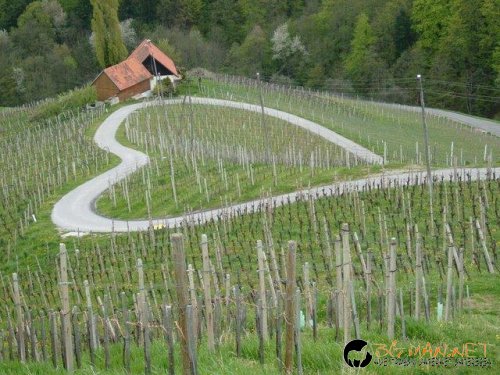 Топ фотосите за днес