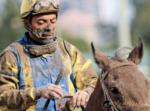 Топ фотосите за днес