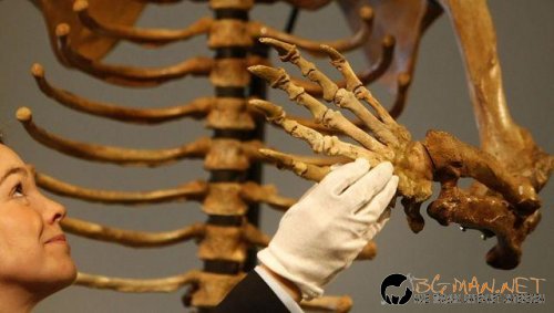 Топ фотосите за днес