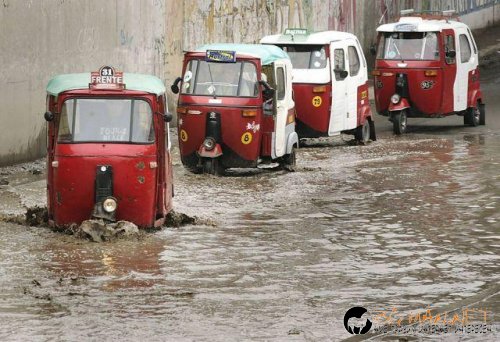 Топ фотосите за днес