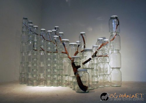 Топ фотосите за днес