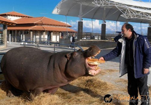 Топ фотосите за днес