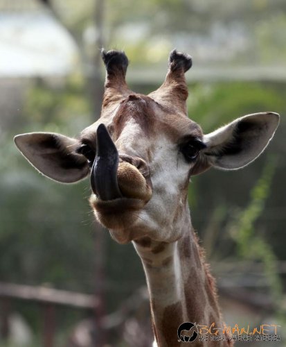 Топ фотосите за днес