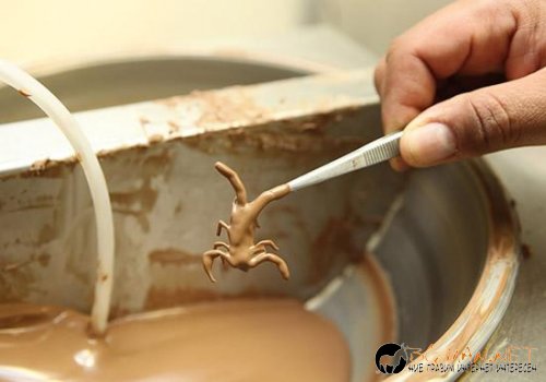 Вкусни насекоми