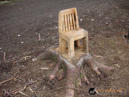 Супер снимките днес