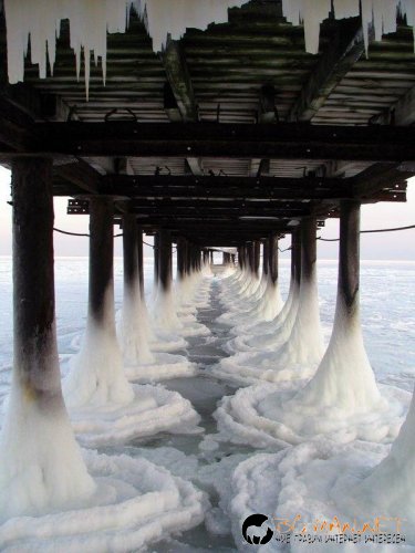 Супер снимките днес