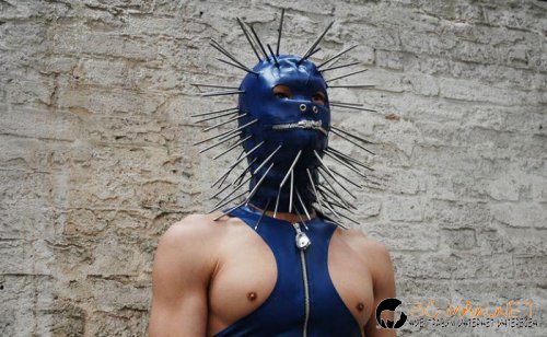 Супер снимките днес