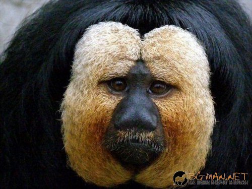 Супер снимките днес