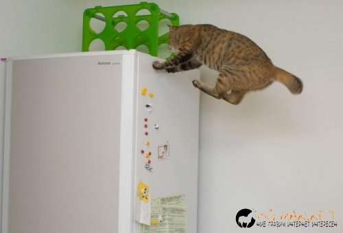 Супер снимките днес