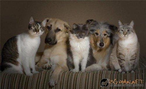 Супер снимките днес