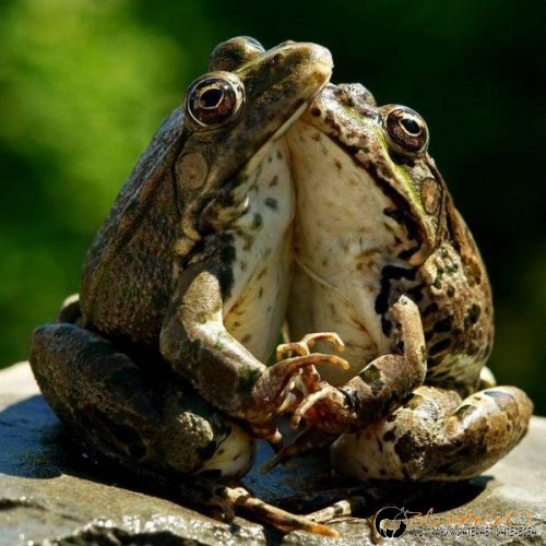 Супер снимките днес