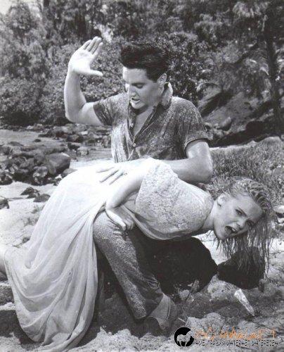 Супер снимките днес