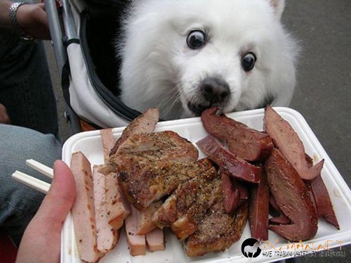 Супер снимките днес