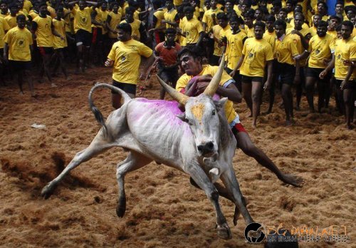 Супер снимките днес