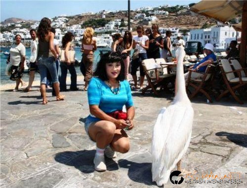 :0)  Без думи  :0)