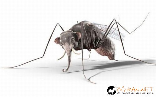 Топ снимките за днес