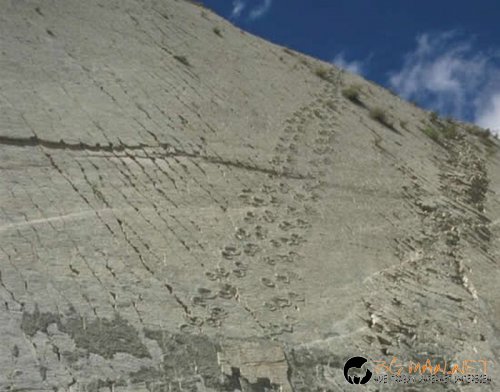 Динозавърски следи