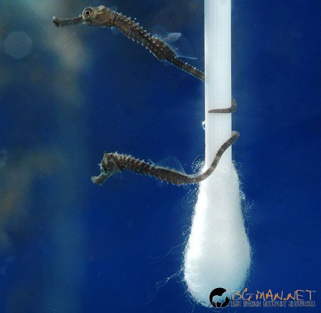 Фотоподборката в понеделник