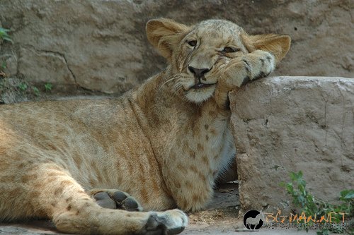 Снимки в събота