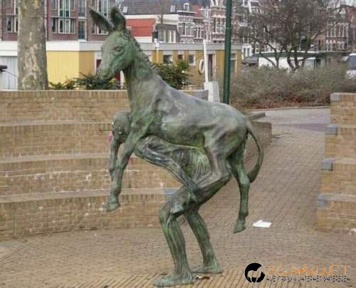 Снимки в събота