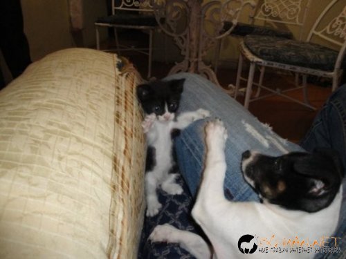 Фотоподборката в понеделник