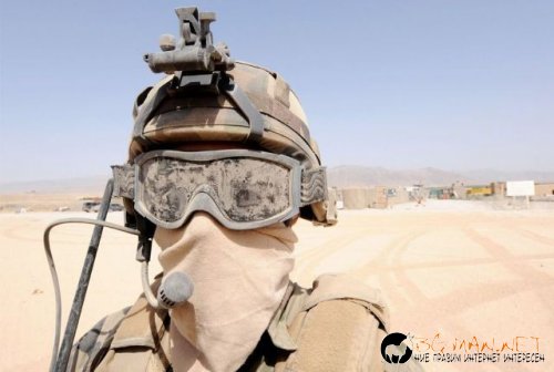 Фотоподборката в понеделник