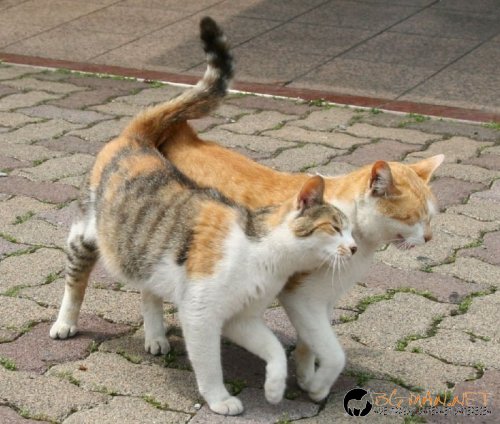 Фотоподборката в понеделник