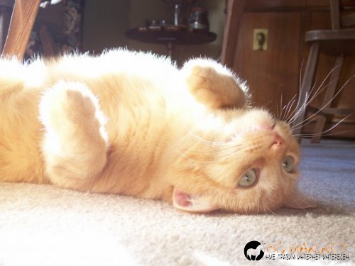 Фотоподборката в понеделник