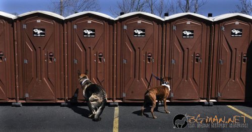 Фотоподборката в понеделник