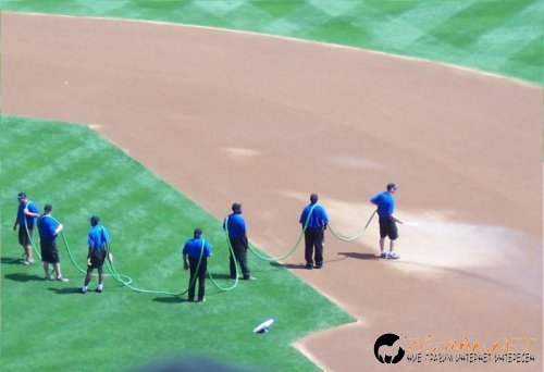 Фотоподборката в понеделник