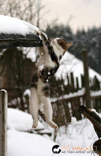 Фотоподборката в понеделник