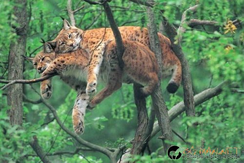Фотоподборката в понеделник
