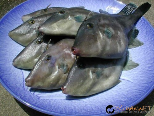 Фотоподборката в понеделник