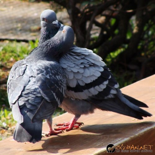 Фотоподборката в понеделник