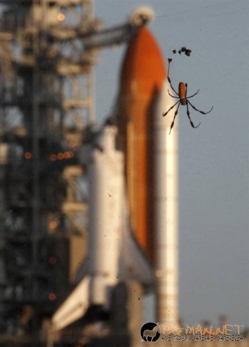 Фотоподборката в понеделник