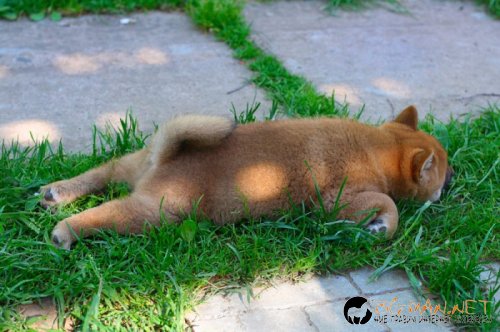 Фотоподборката в понеделник