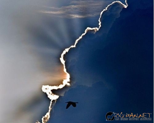 Фотоподборката в понеделник