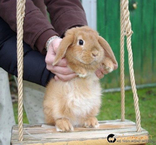 Фотоподборката в понеделник