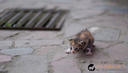 Фотоподборката в понеделник