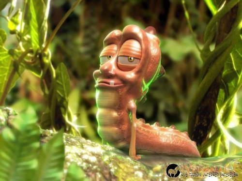 Фотоподборката в понеделник