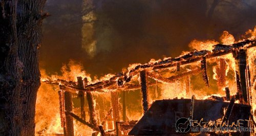 Фотоподборката в понеделник