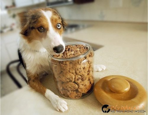 Фотоподборката в понеделник