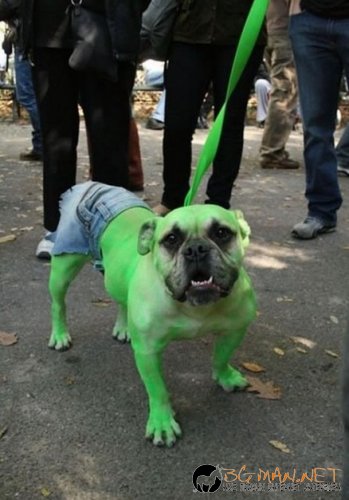 Фотоподборката в понеделник