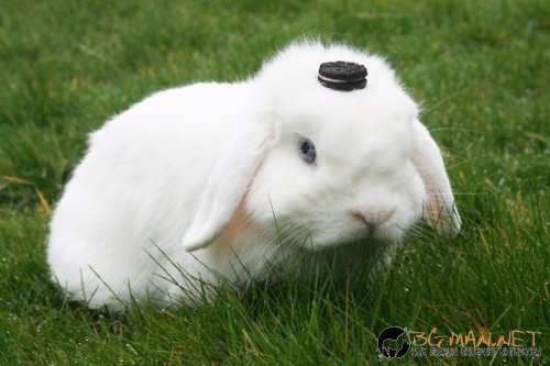 Фотоподборката в понеделник