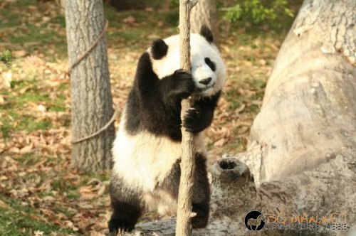 Фотоподборката в понеделник