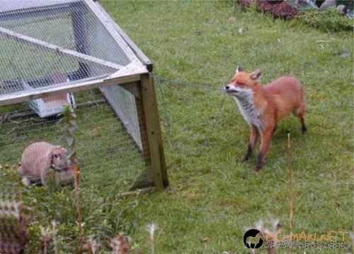 Фотоподборката в понеделник