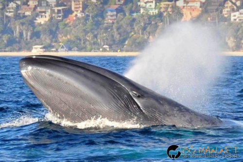 Фотоподборката в понеделник