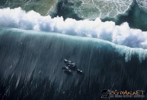 Фотоподборката в понеделник